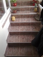 /album/fotogalerie-reference/a22122011405-jpg/